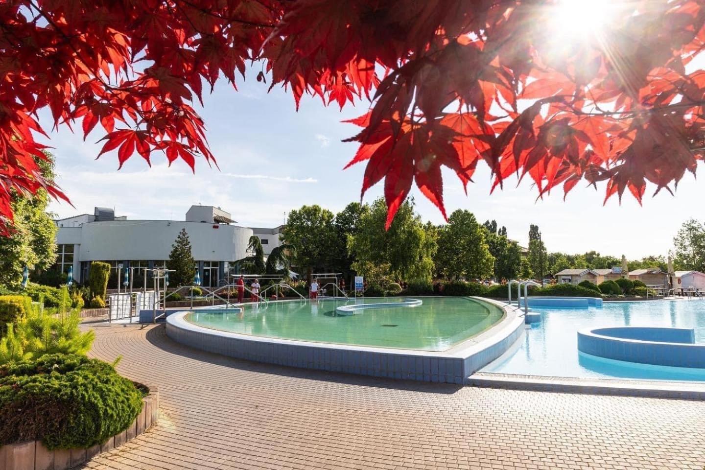 Dom Alex Pri Kupalisku Thermalpark Dunajská Streda 외부 사진